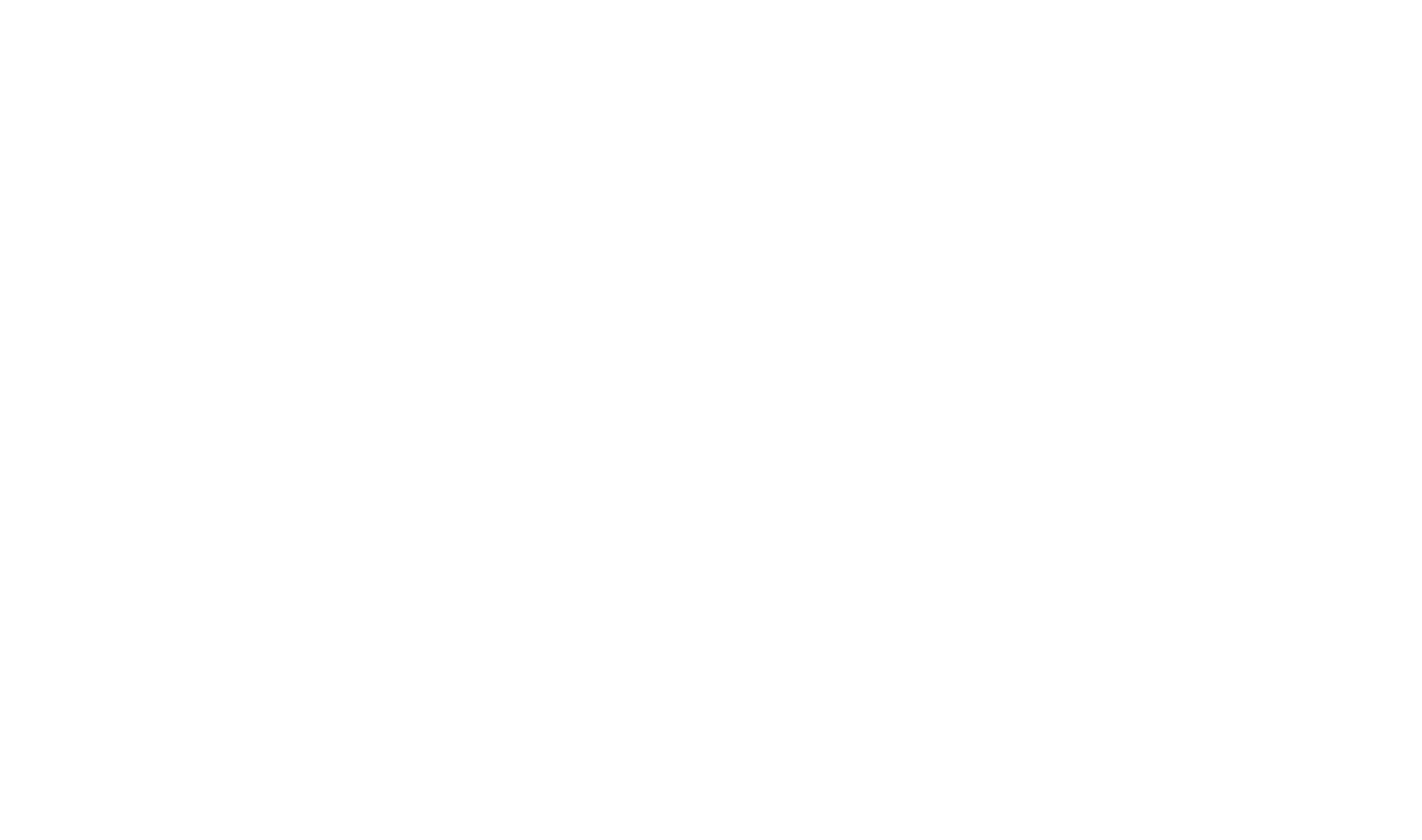 ConnectFlow logo